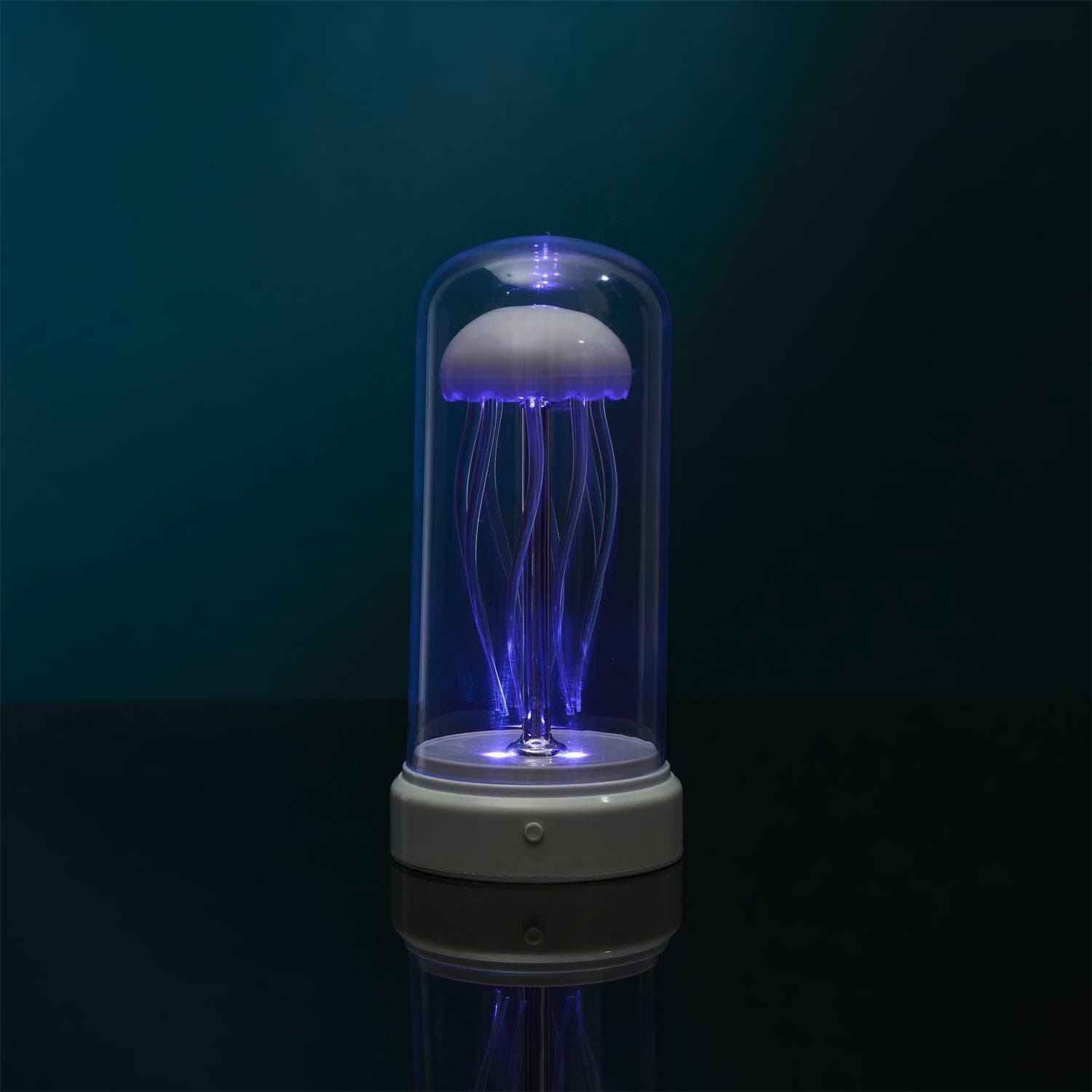 Miniatura 8