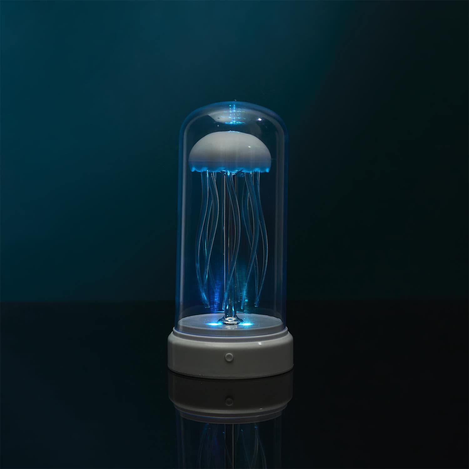 Miniatura 9