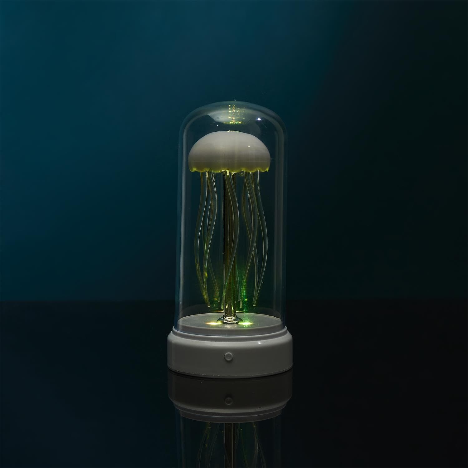 Miniatura 10