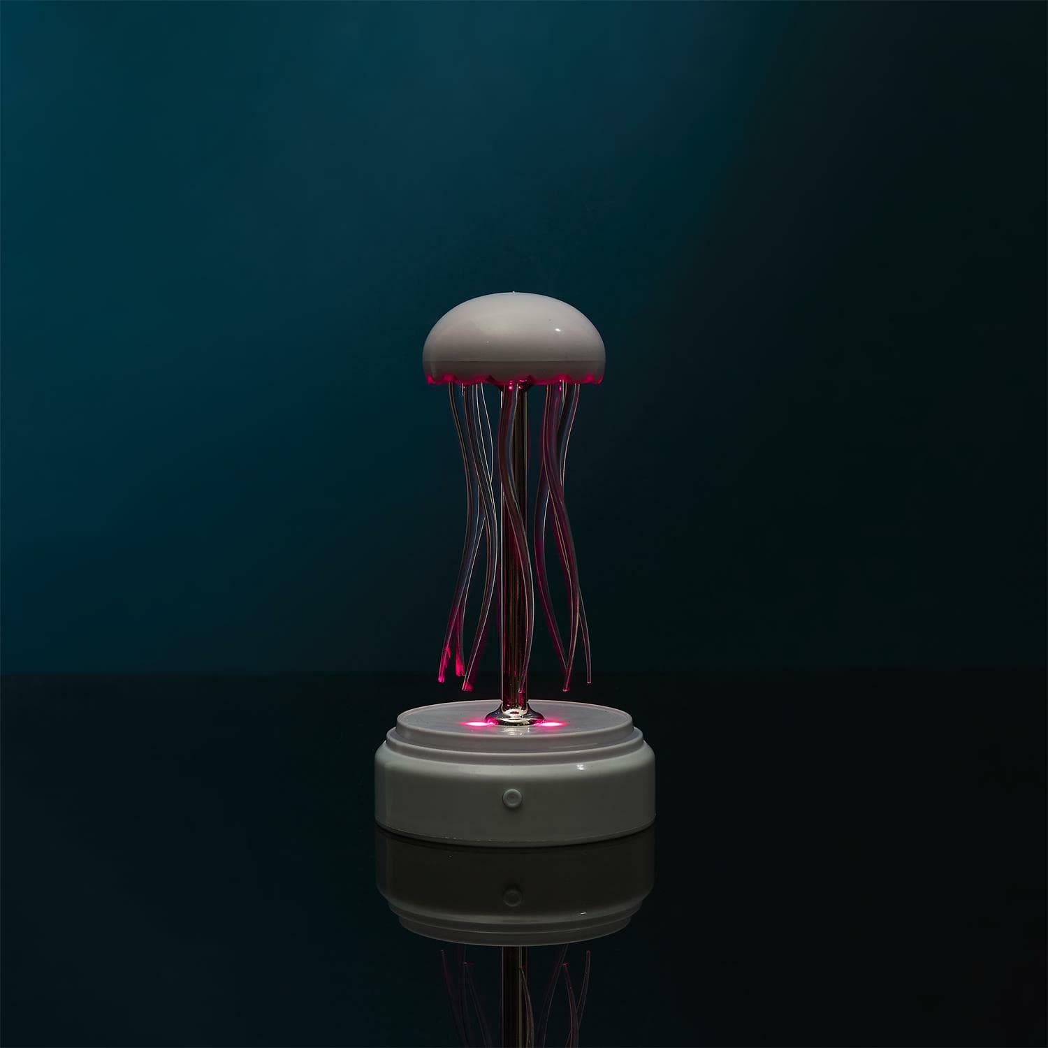 Miniatura 12