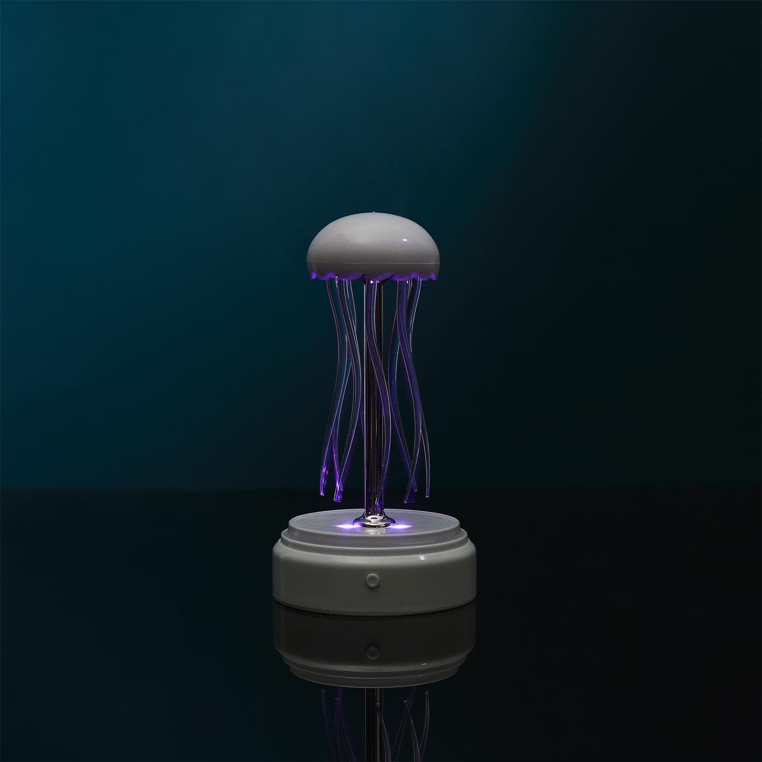 Miniatura 13
