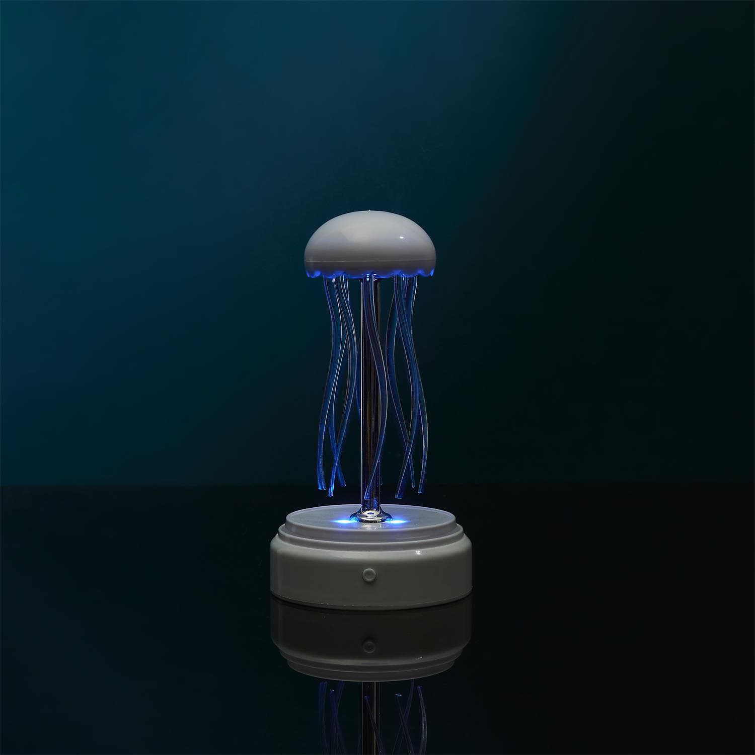 Miniatura 14