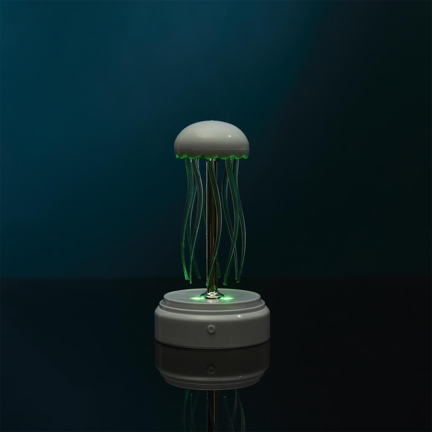 Miniatura 16